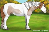 Horse Color:Chestnut Splash Tobiano