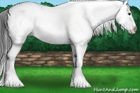 Horse Color:White Spotted Bay Roan Dun Splash 