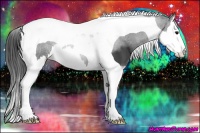 Horse Color:Black Sabino Splash Tobiano 