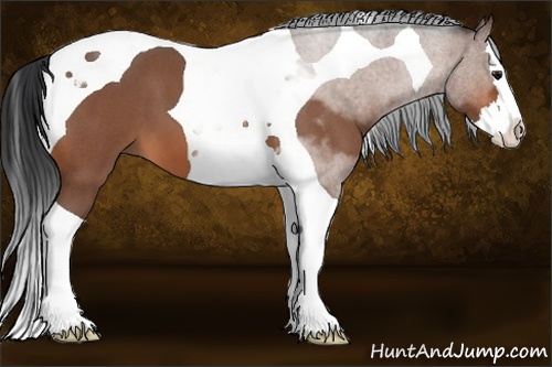 Horse Color: Bay Roan Splash Tobiano 