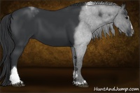 Horse Color:Black Sabino Tobiano 
