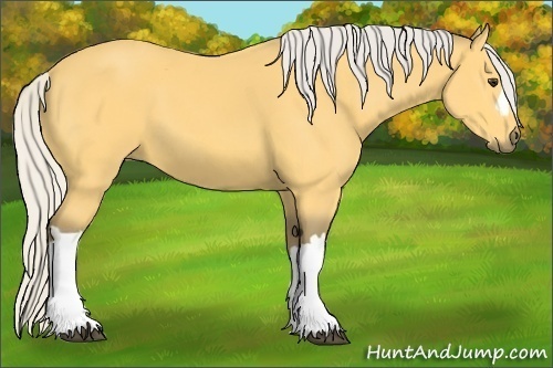 Horse Color: Silver Buckskin 