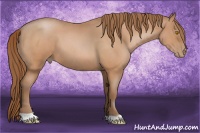 Horse Color:Bay Roan Pearl 