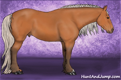 Horse Color: Silver Bay 