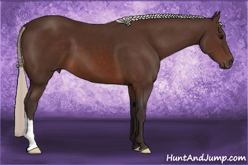 Horse Color: Silver Brown 