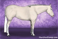 Horse Color:Silver Perlino 
