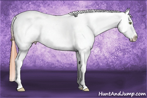 Horse Color: Amber Champagne Dun Tobiano Varnish 