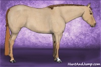 Horse Color:Red Dun Roan