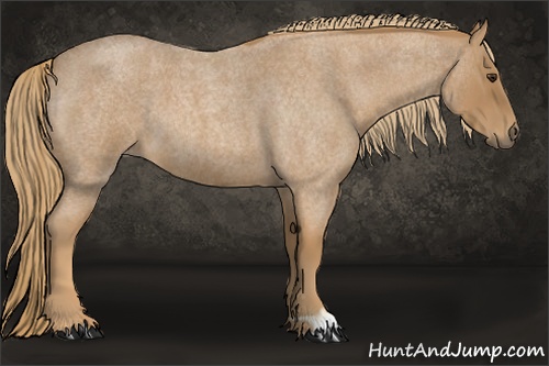 Horse Color: Red Roan 