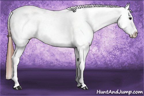 Horse Color: Buckskin Dun Sabino Varnish Rabicano 