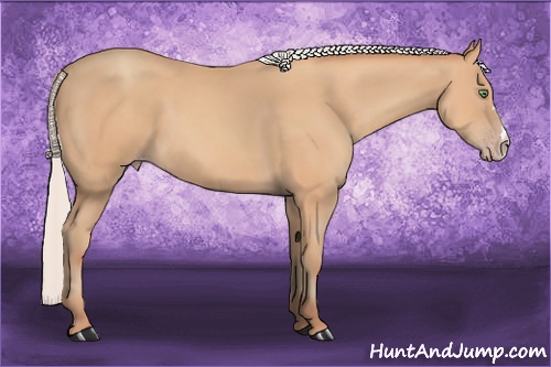 Horse Color: Silver Amber Champagne 