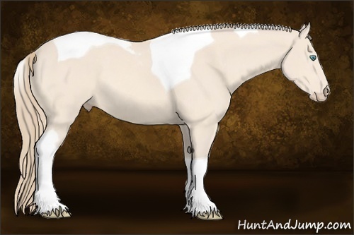 Horse Color: Perlino Tobiano 