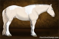 Horse Color:Perlino Tobiano 