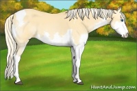 Horse Color:Palomino Dun Splash Tobiano