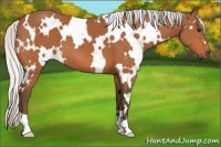 Horse Color:White Spotted Silver Bay 