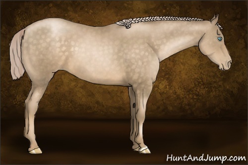 Horse Color: Chocolate Palomino Pearl 