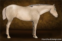 Horse Color:Chocolate Palomino Pearl