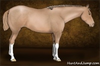 Horse Color:Liver Chestnut Pearl 