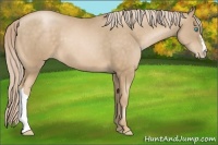 Horse Color:Chocolate Palomino Pearl