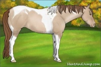 Horse Color:Liver Red Dun Pearl Tobiano 