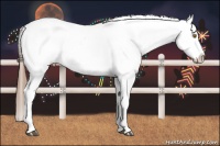 Horse Color:Liver Red Dun Pearl Appaloosa