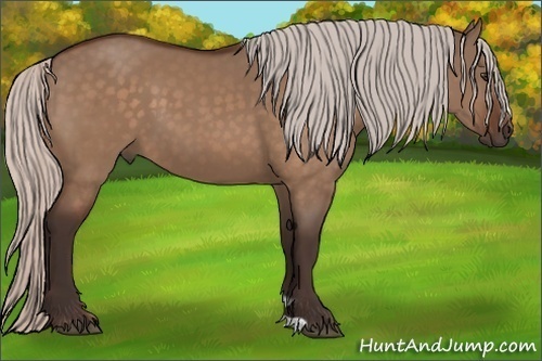 Horse Color:Silver Brown Dun 