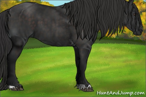 Horse Color: Liver Chestnut 