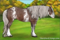 Horse Color:White Spotted Silver Bay Varnish 