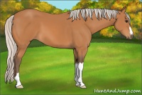 Horse Color:Silver Bay 