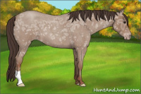 Horse Color:Sable Champagne Ice Roan 