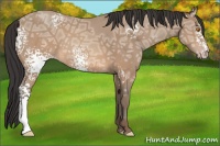 Horse Color:White Spotted Sable Champagne Ice 