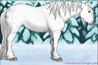 Horse Color:Gray Bay Ice Sabino Appaloosa