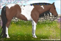 Horse Color:Bay Tobiano