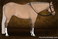 Horse Color:Silver Bay Dun 