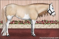 Horse Color:Smoky Black Pearl Splash Rabicano 