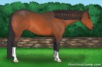 Horse Color:Brown 