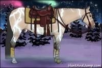 Horse Color:Brown Dun