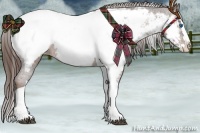 Horse Color:Liver Chestnut Splash Tobiano Appaloosa