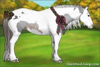 Horse Color:Brown Splash Tobiano Appaloosa Rabicano