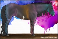 Horse Color:Black Frame 