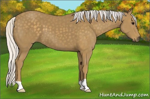 Horse Color: Silver Smoky Black 