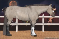 Horse Color:Brown Dun Blanket Rabicano 