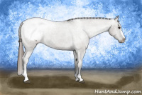 Horse Color:Grullo Sabino Snowcap 