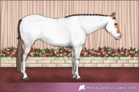 Horse Color:Bay Tobiano Fewspot 