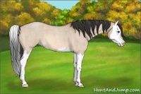 Horse Color:Bay Roan Dun Splash