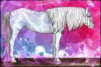 Horse Color:White Spotted Grullo Splash Tobiano Snowcap 