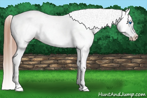 Horse Color: Amber Champagne Splash Tobiano Near Fewspot  Brindle