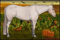 Horse Color:Bay Roan Varnish Rabicano 