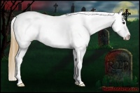 Horse Color:Buckskin Roan Varnish Rabicano 