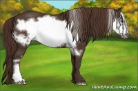 Horse Color:Liver Chestnut Frame 